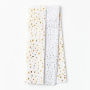 Silver & Gold Fleck Tissue Dual Pack S/8