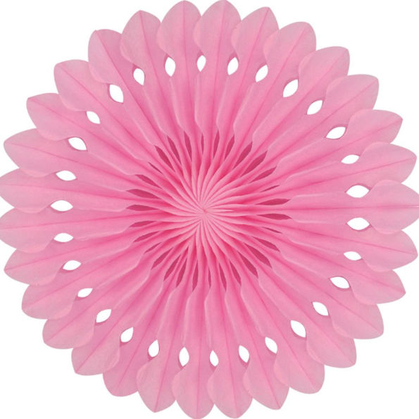 Detailed fan, 30cm