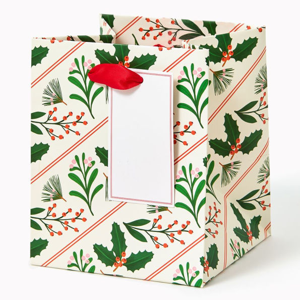 Botanical Stripes Small Square Gift Bag