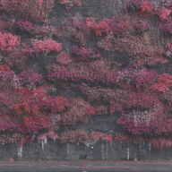Title: Even in Arcadia, Artist: Sleep Token
