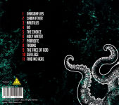 Alternative view 2 of Metamorphosis