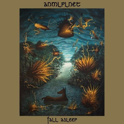 Fall Asleep