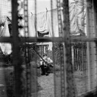 Title: Chaos and Creation in the Backyard [SHM-CD], Artist: Paul McCartney