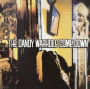 The Dandy Warhols Come Down