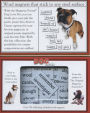 Alternative view 2 of Dog Lover Magnetic Word Kit
