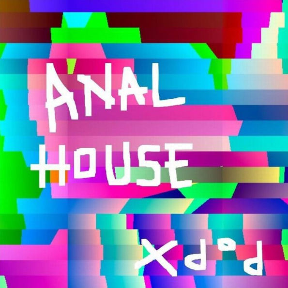 ANAL HOUSE