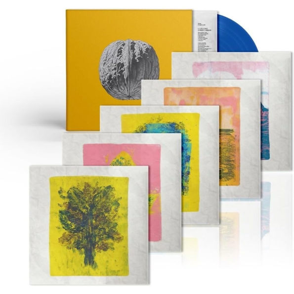 L' Albero Delle Noci