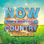 Now That's What I Call Country, Vol. 13