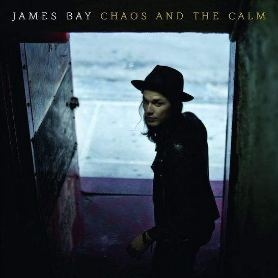 Chaos and the Calm [LP]