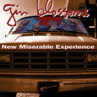 Title: New Miserable Experience, Artist: Gin Blossoms