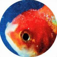 Title: Big Fish Theory, Artist: Vince Staples