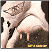 Title: Get a Grip, Artist: Aerosmith