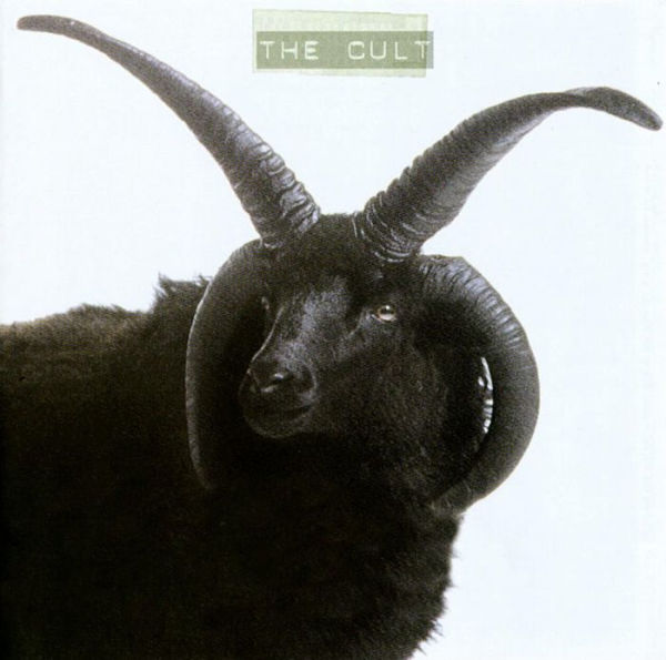 The Cult