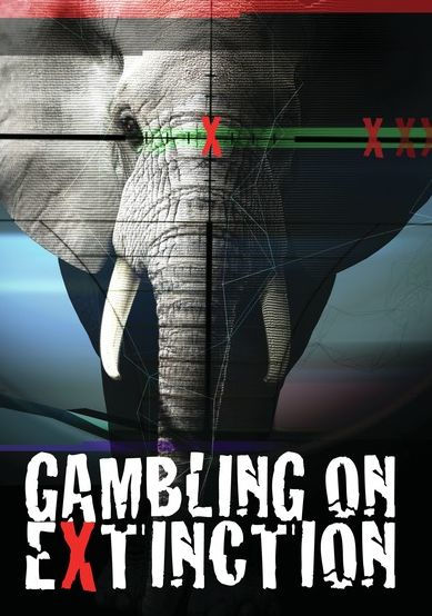 Gambling on Extinction