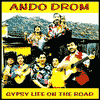 Title: Gypsy Life On The Road, Author: Ando Drom