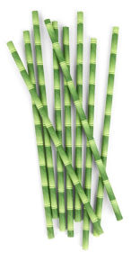 Paper Straws + Bamboo 144 Per Box