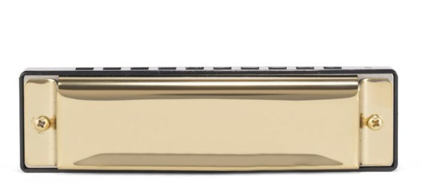 Make Your Own Harmonica