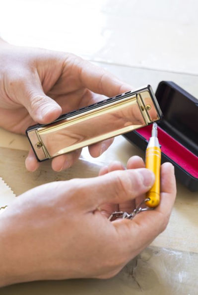 Make Your Own Harmonica