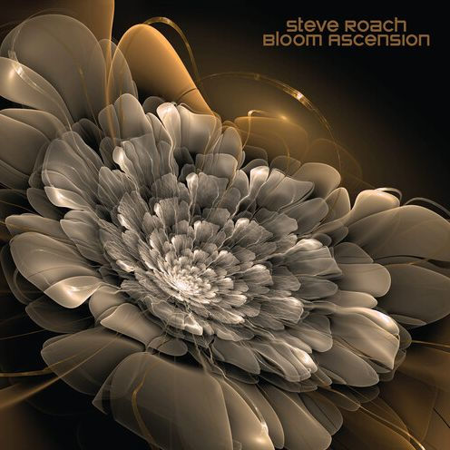 Bloom Ascension