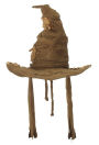 Harry Potter Sorting Hat