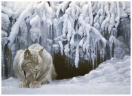 Title: Cobble Hill: Dozing Lynx 1000 Piece Jigsaw Puzzle