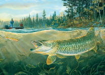 Alternative view 2 of Cobble Hill Muskie Bay Fishing Puzzle - 1,000 Pieces