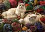 Ragdolls 1000 Piece Puzzle