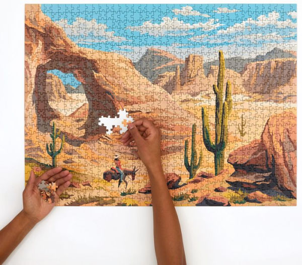 Paint By Numbers - Desert - 1000 Piece Puzzle