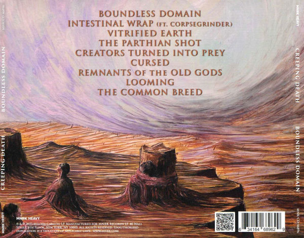 Boundless Domain