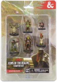 Title: WizKids Dungeons & Dragons Icons of the Realms Figure Set: Starter Set