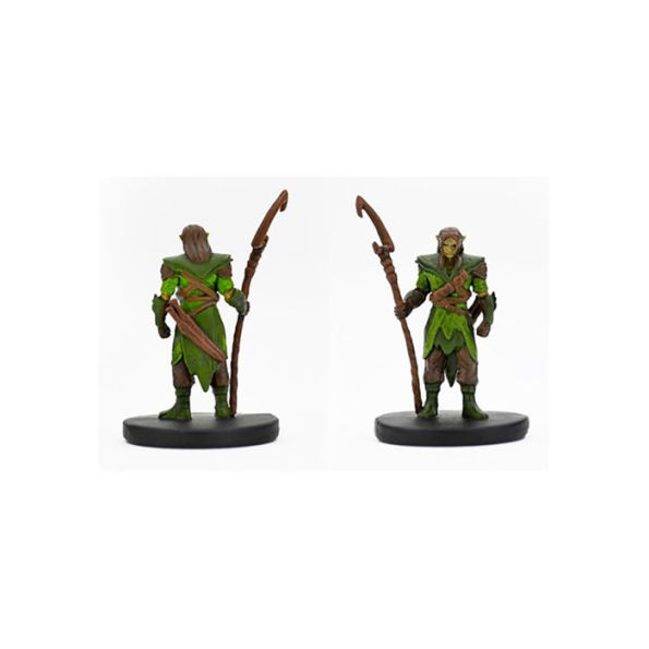 D&D Icons of the Realms Starter Set