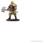 Alternative view 4 of D&D Icons of the Realms: Miniatures Epic Level Starter