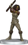 Alternative view 4 of D&D IotR Dragons of Stormwreck Isle