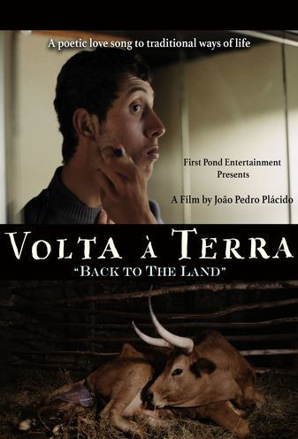 Volta a Terra