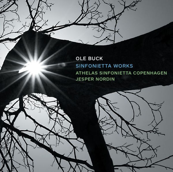 Ole Buck: Sinfonietta Works