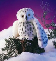 Title: Snowy Owl Puppet