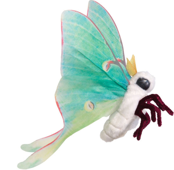 Little Turtle Puppet