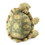 Alternative view 2 of Standing Tortoise Puppet