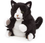 Alternative view 1 of Tuxedo Kitten