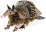 Armadillo Puppet