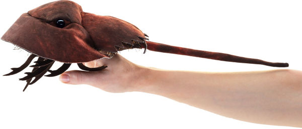 Horseshoe Crab Puppet