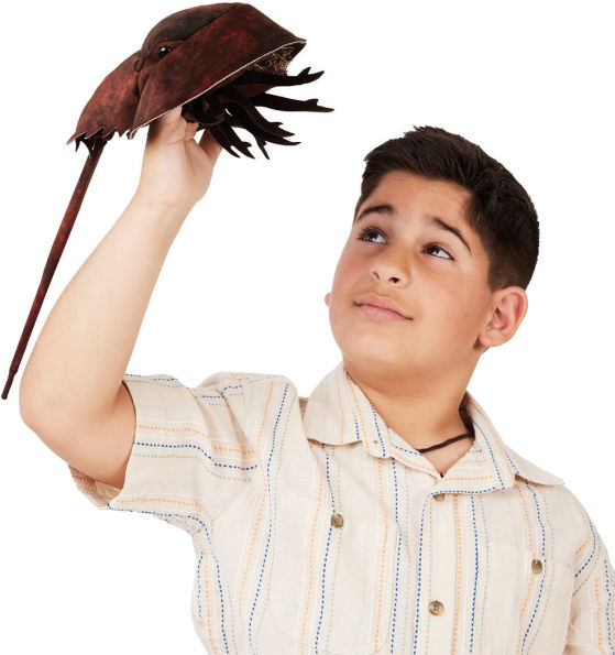 Horseshoe Crab Puppet