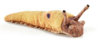 Title: Mini Banana Slug Puppet