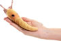 Alternative view 2 of Mini Banana Slug Puppet