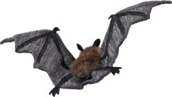Alternative view 2 of Mini Bat Puppet