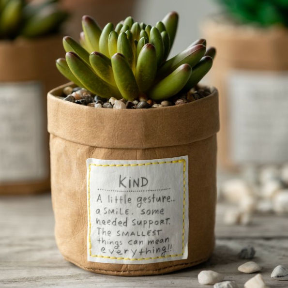 Plant Kindness - Kind