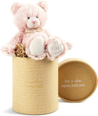 Gender Reveal Teddy Bear - Gir