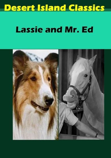 Lassie and Mr. Ed