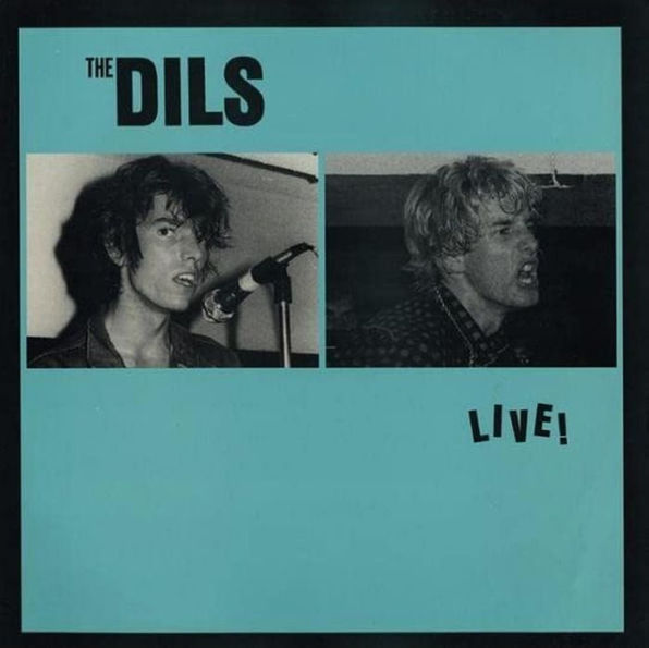 Dils Live 1977/1980