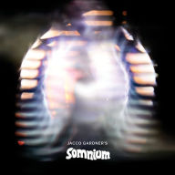 Title: Somnium, Artist: Jacco Gardner